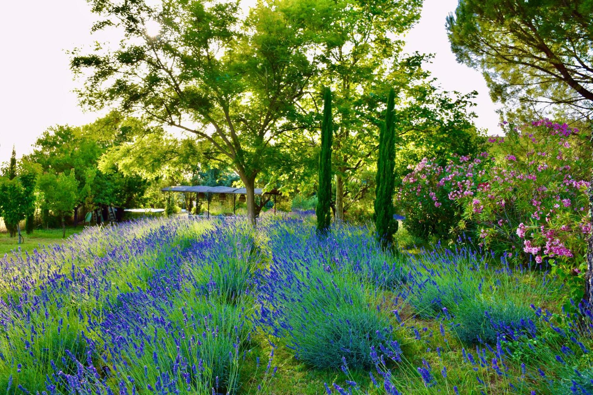 Bastide Saint-Didier Exterior foto