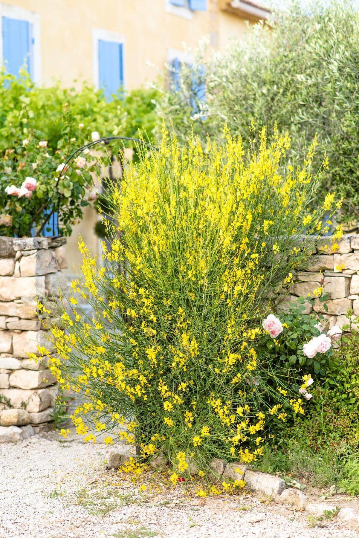 Bastide Saint-Didier Exterior foto